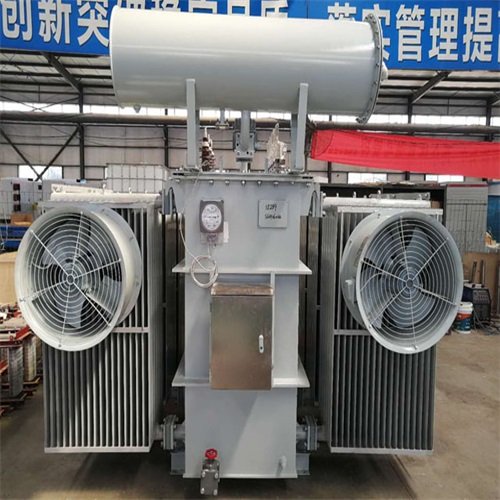 泸水S20-8000KVA变压器